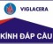 BÁO CÁO THƯỜNG NIÊN NĂM 2022